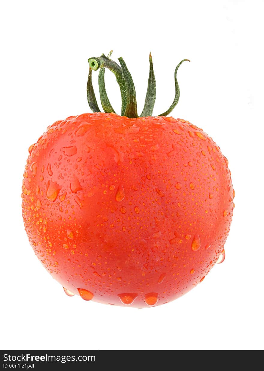 Tomato