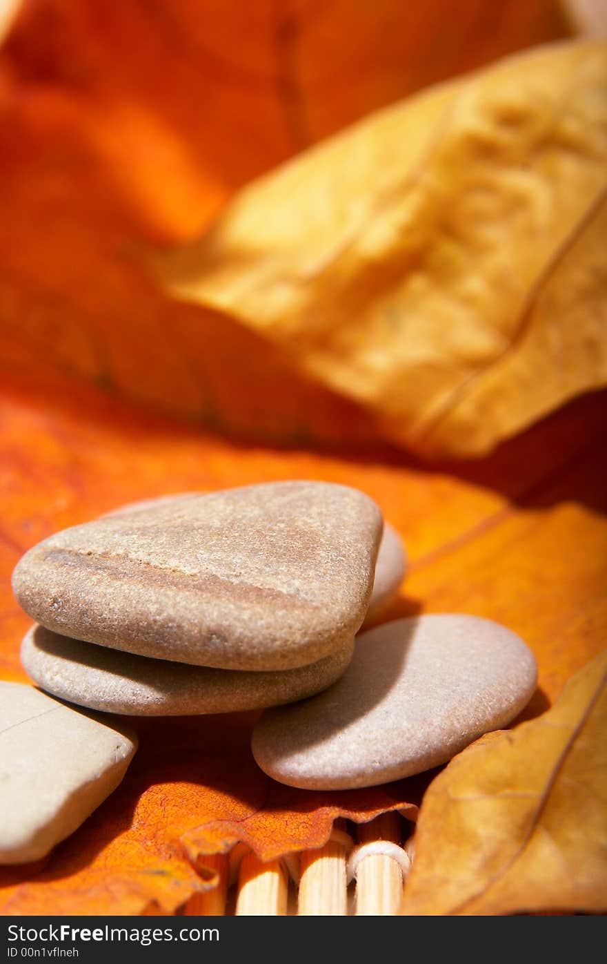 Five flat stones over autumn leaves. Five flat stones over autumn leaves