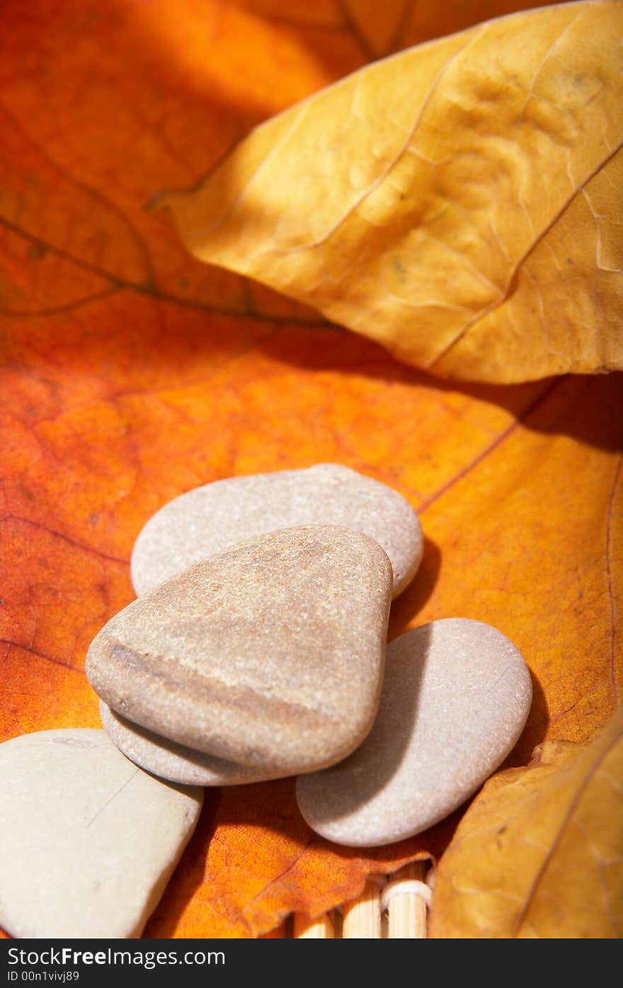 Five flat stones over autumn leaves. Five flat stones over autumn leaves