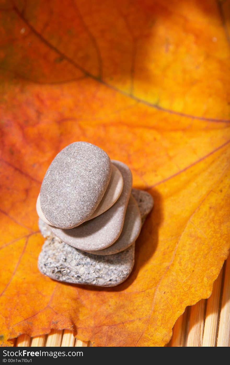 Five flat stones over autumn leaves. Five flat stones over autumn leaves