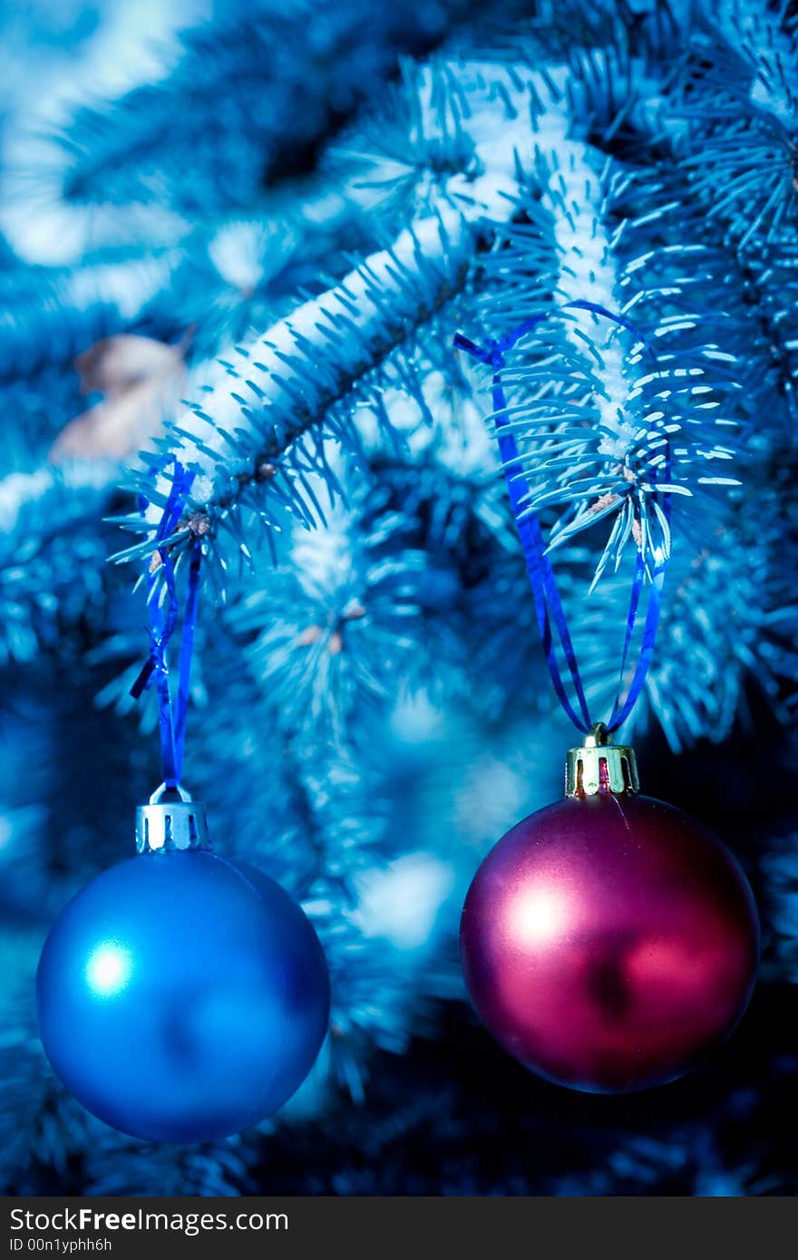 Colors balls  on the Christmas tree. Colors balls  on the Christmas tree