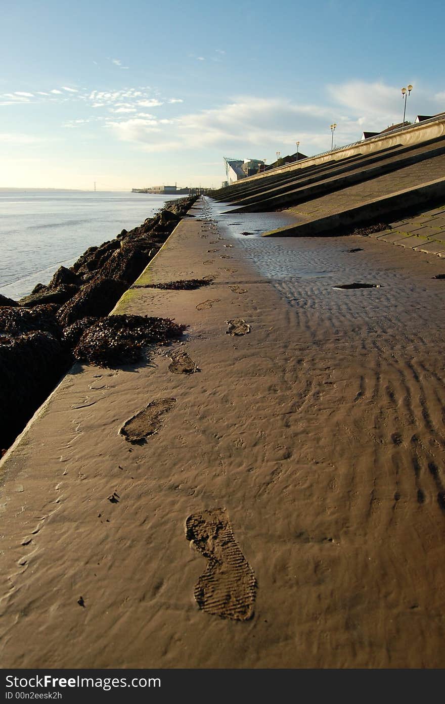 Long track of footprints in the mud next to a river