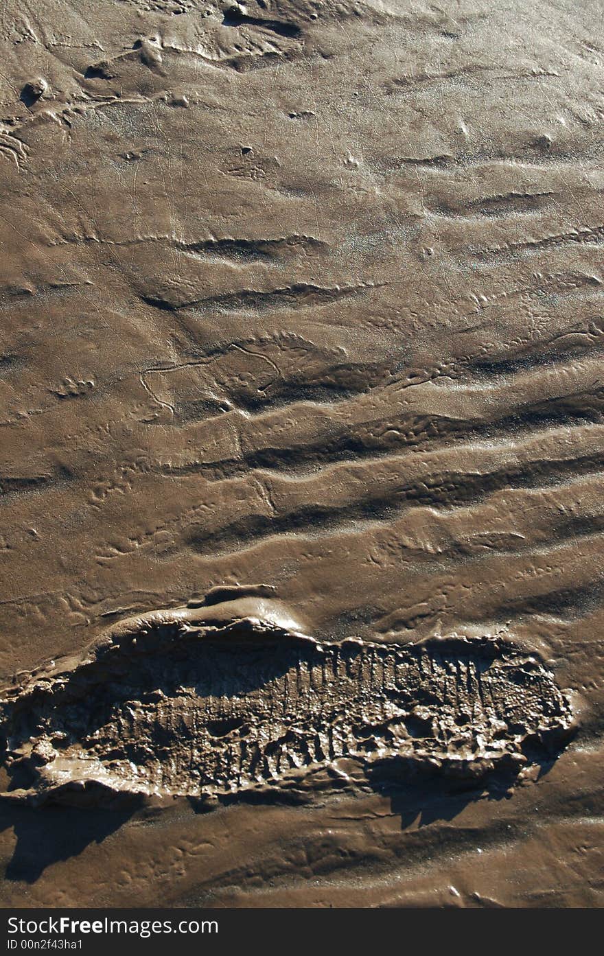 Single footprint in mud with low afternoon sunlight