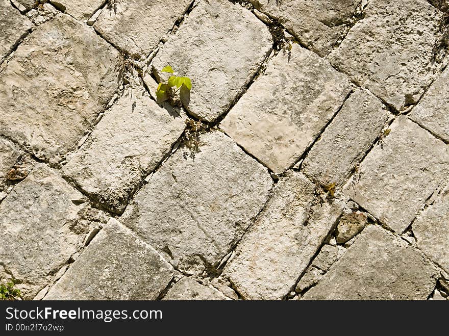 Old brick walls from the ruinsin Chichen Itza Mexico. Old brick walls from the ruinsin Chichen Itza Mexico