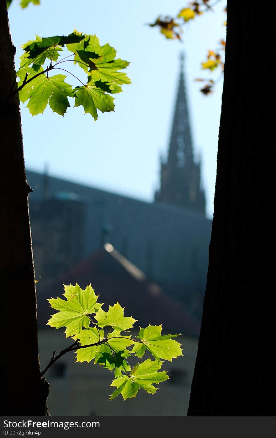 Prague castle