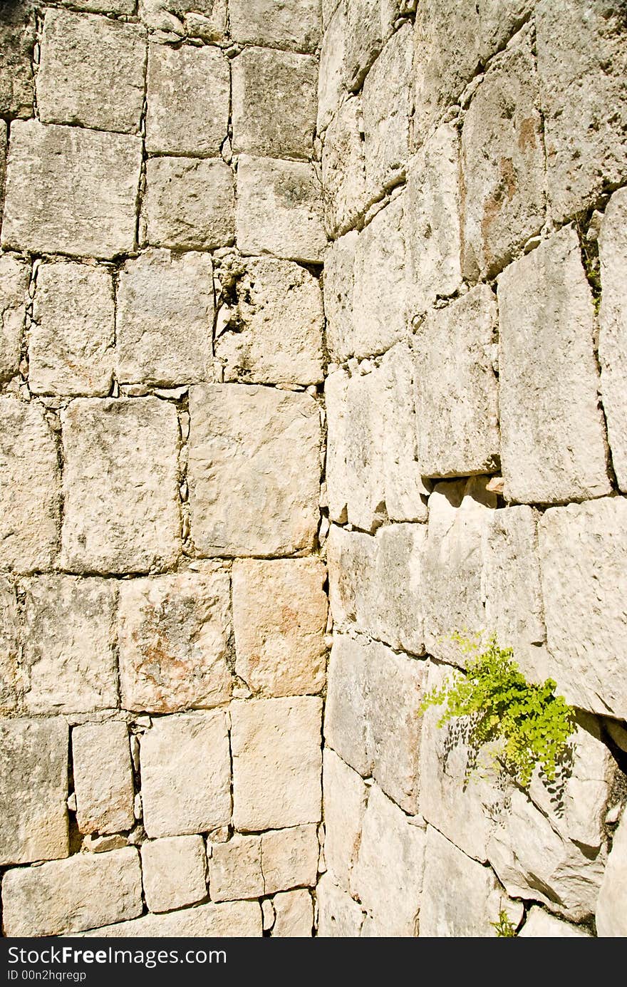 Old brick walls from the ruinsin Chichen Itza Mexico. Old brick walls from the ruinsin Chichen Itza Mexico