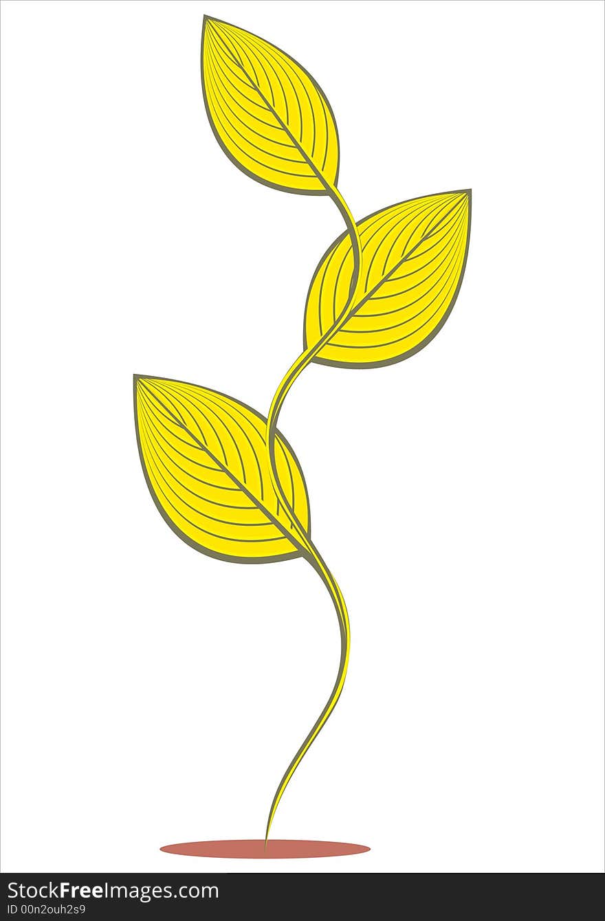 Gold Plant (vector)