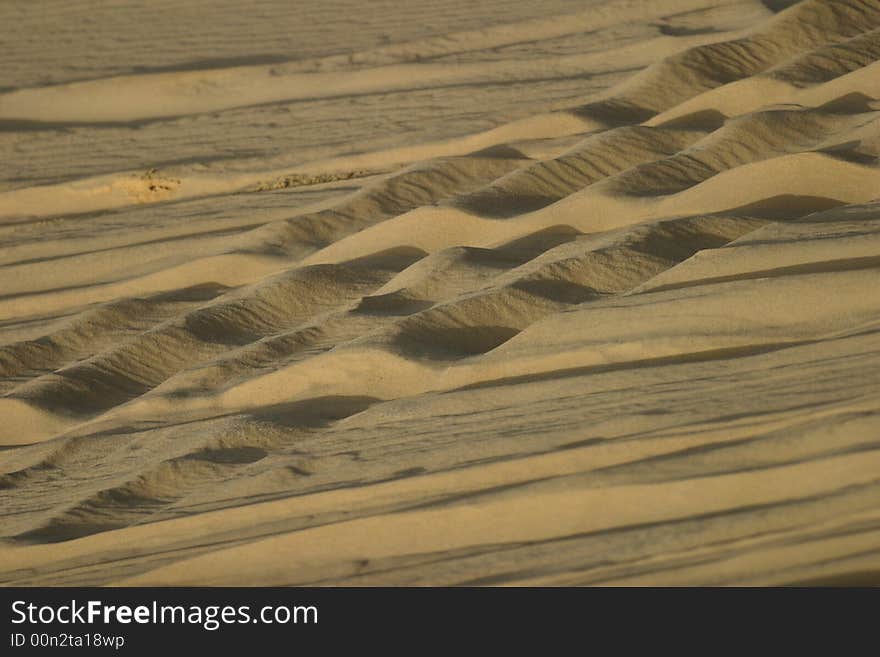 Sand in Egyptian desert, with tracks of tires