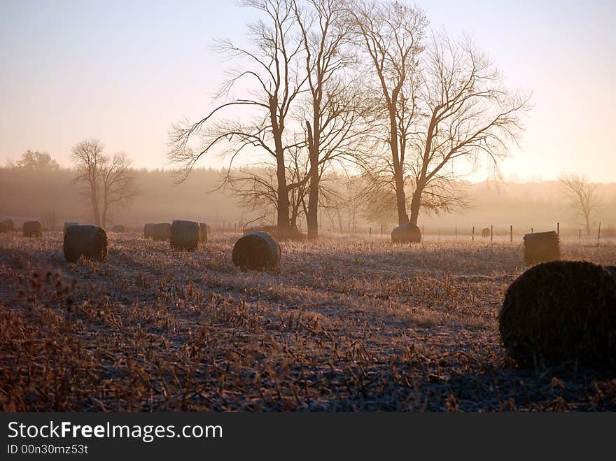 Hay bales lit by the morning sun through the mist. Hay bales lit by the morning sun through the mist.