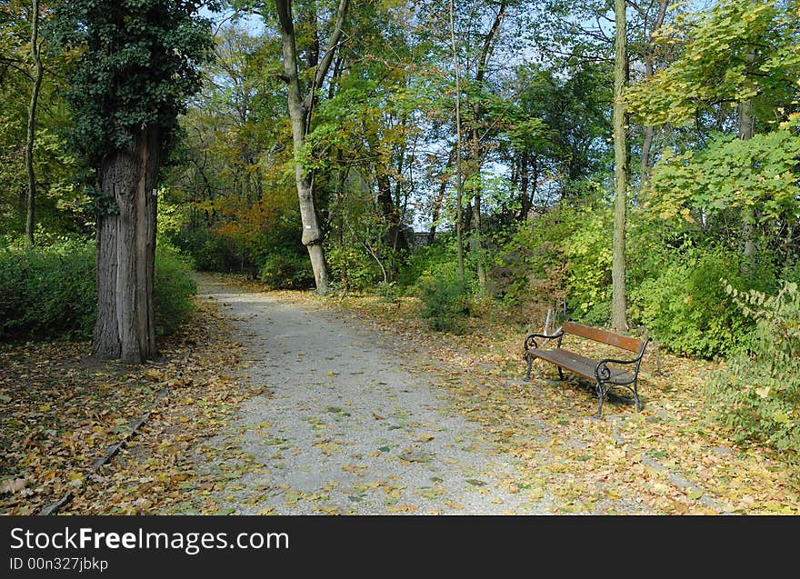 Relaxation In The Park