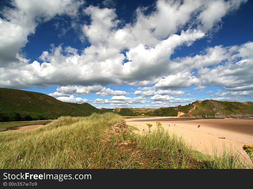 Wild beach landscape