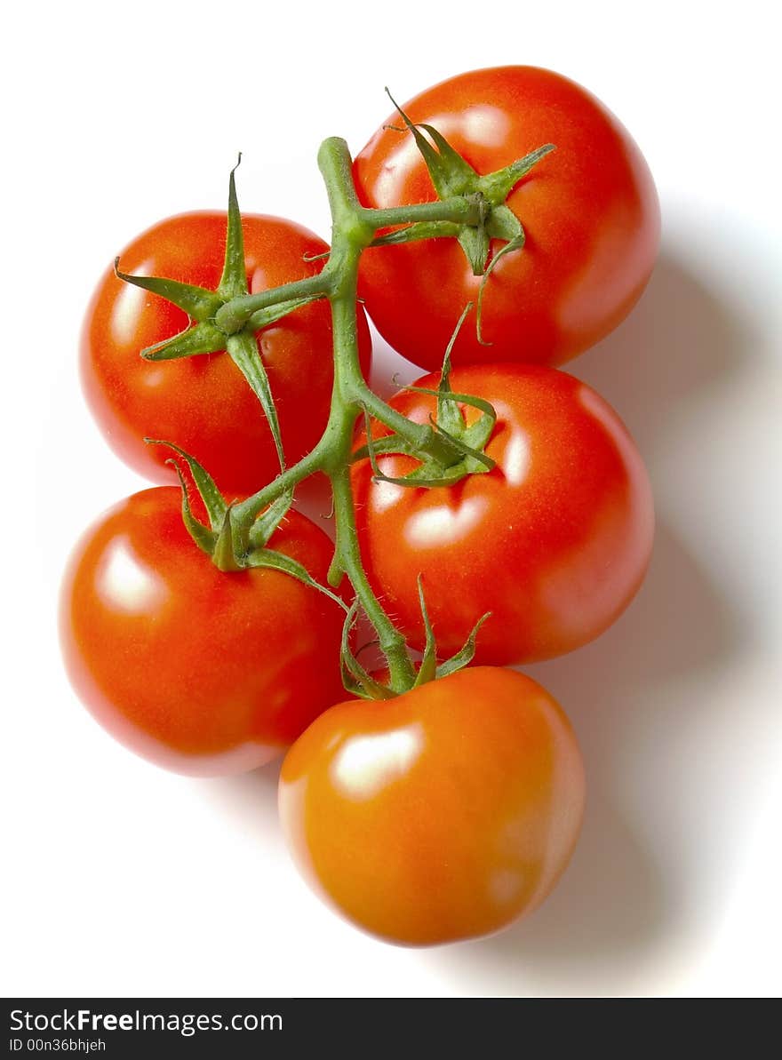 The bunch of tomatoes