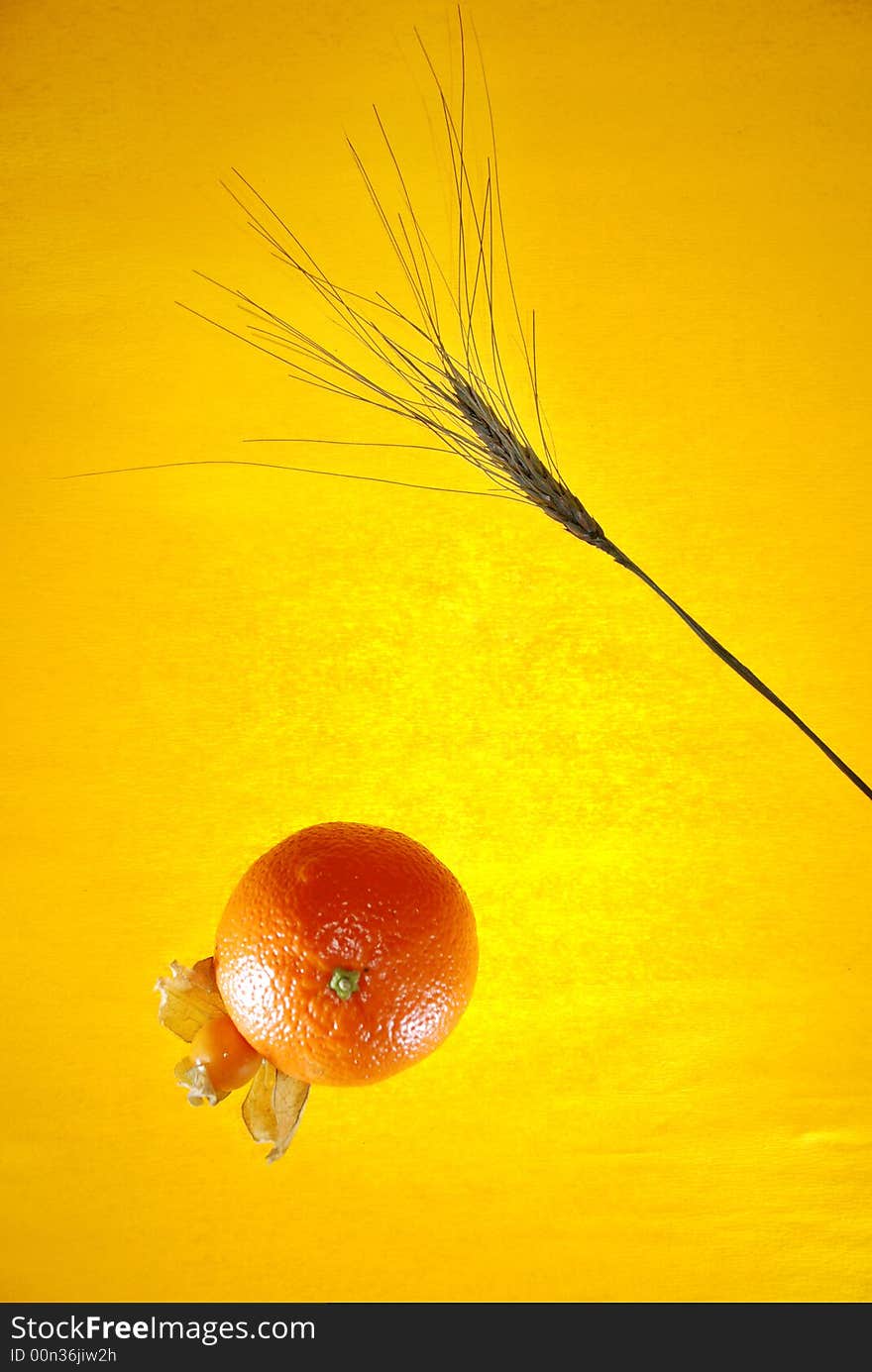 Warm still life with orange, physalis and cereals. Warm still life with orange, physalis and cereals