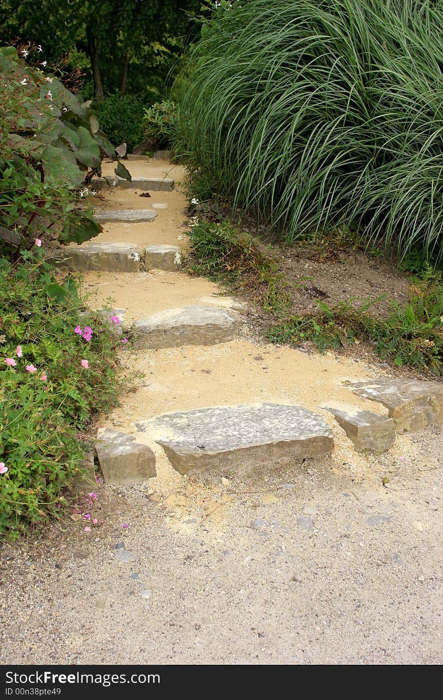 Old stone garden path with shrubs and flowers on either side.