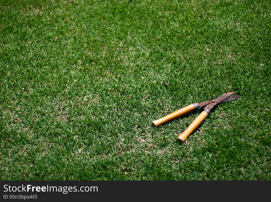 Another photo of a garden shears