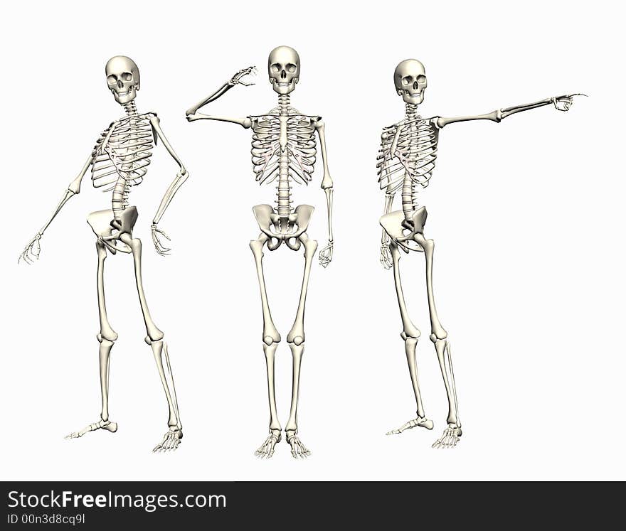 3 Skeletons