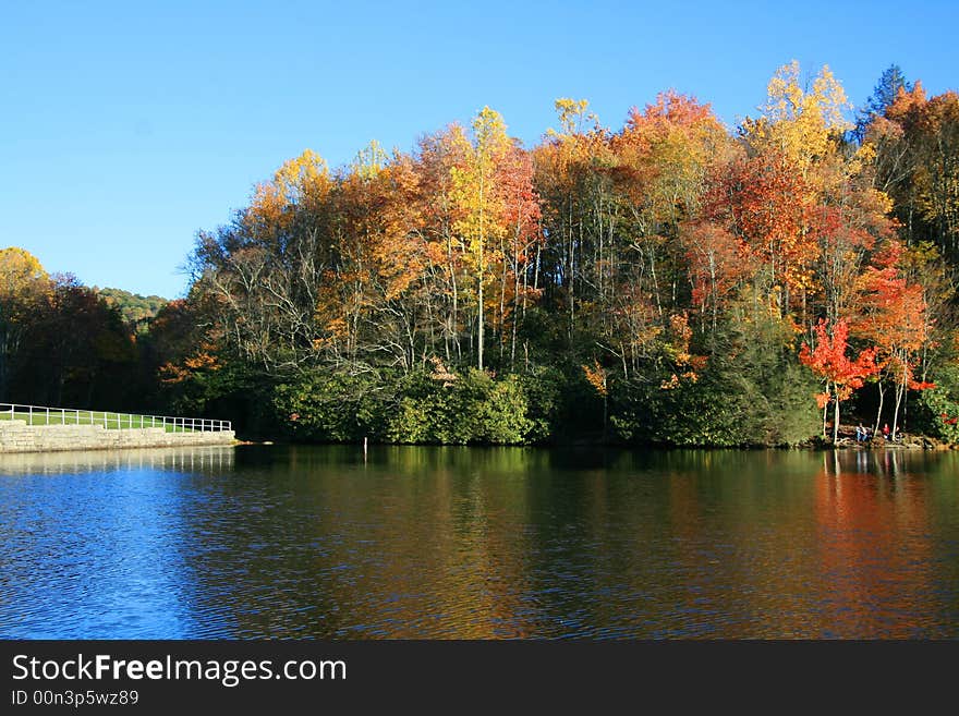 Fall lake with tree reflection