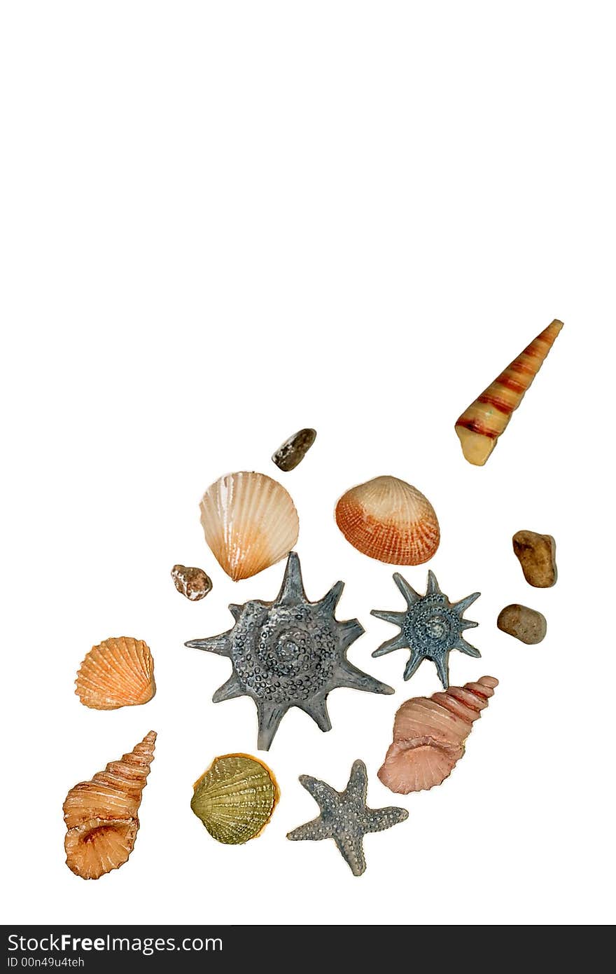 Shells