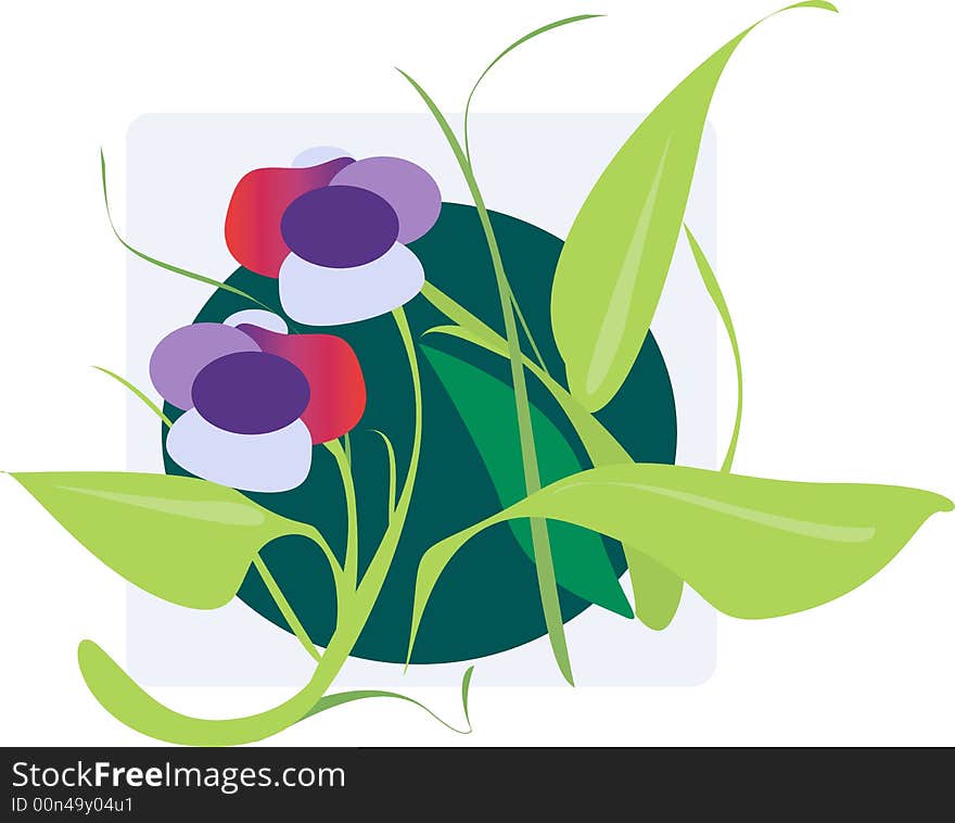 A plants with flowers on grey background.