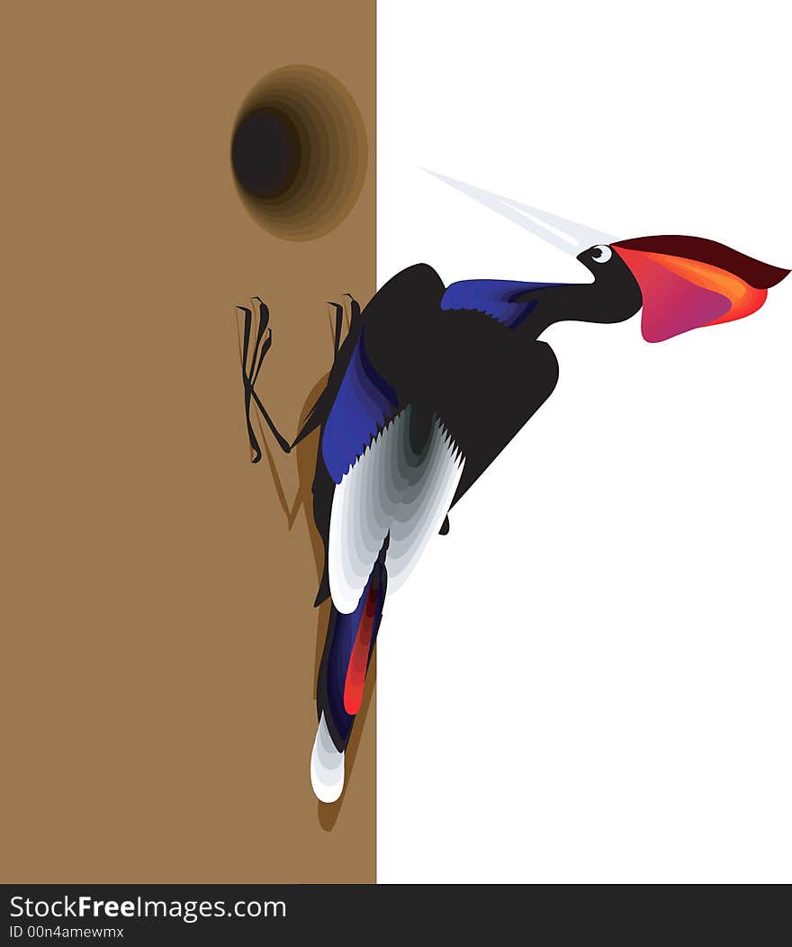 Illlustration of woodpecker
Making home.
