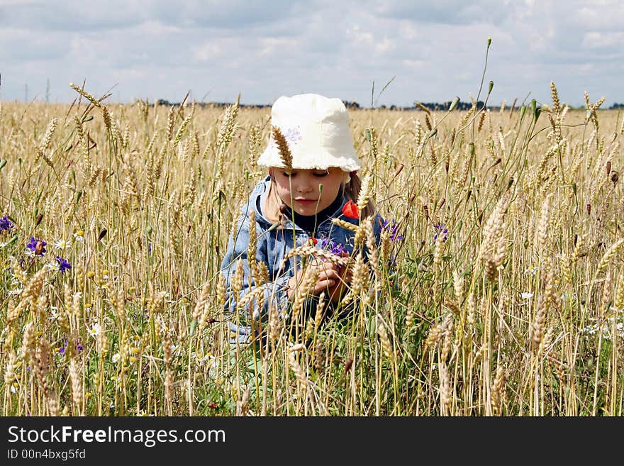 In the wheat field