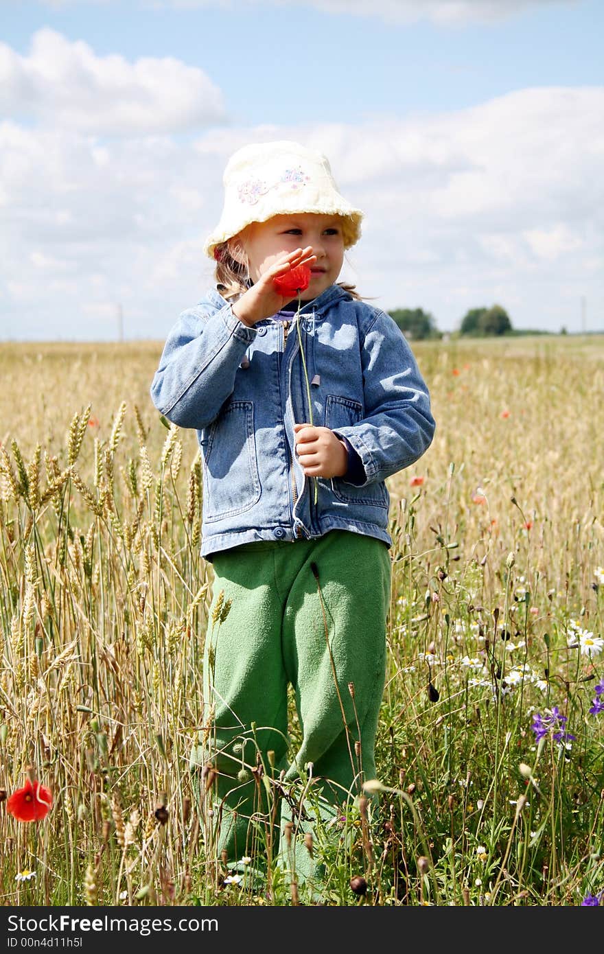 A girl holding red poppy flower,standing in the wheat field