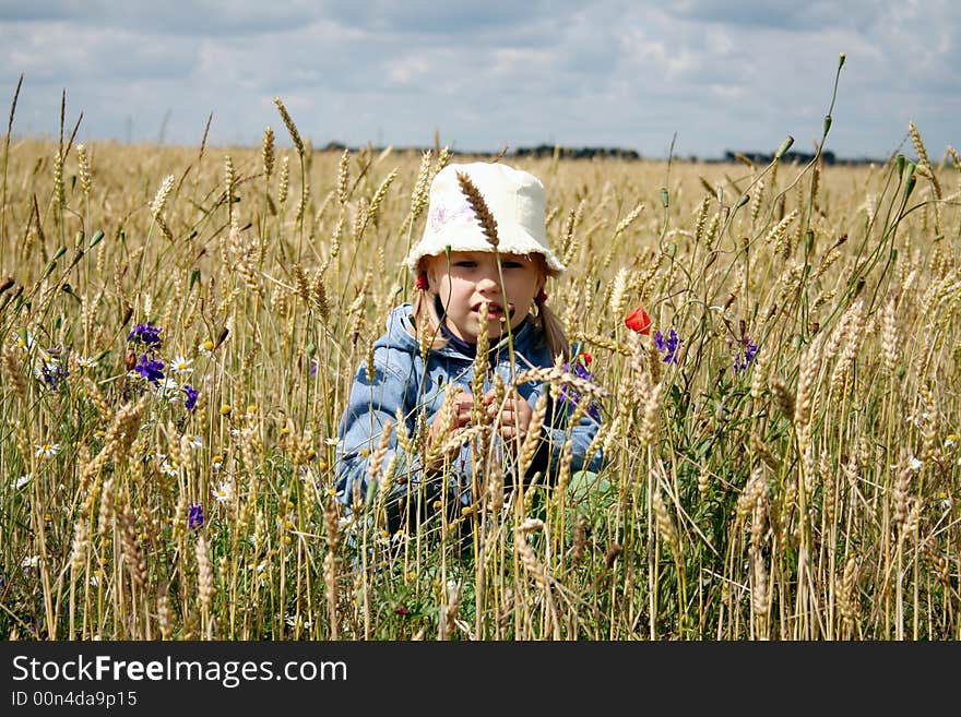 In The Wheat Field