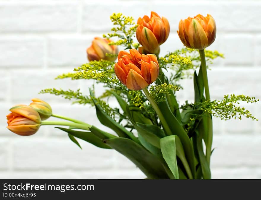 Bouquet of orange tulips on a background of a white wall.