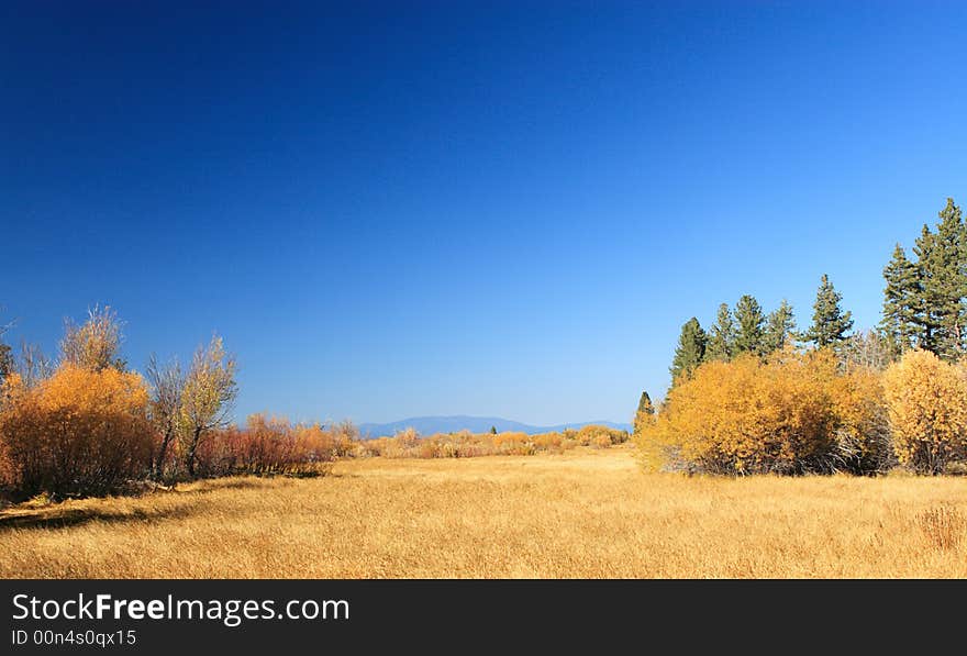 Autumn Meadow At Taylor Creek in Lake Tahoe Area. Autumn Meadow At Taylor Creek in Lake Tahoe Area