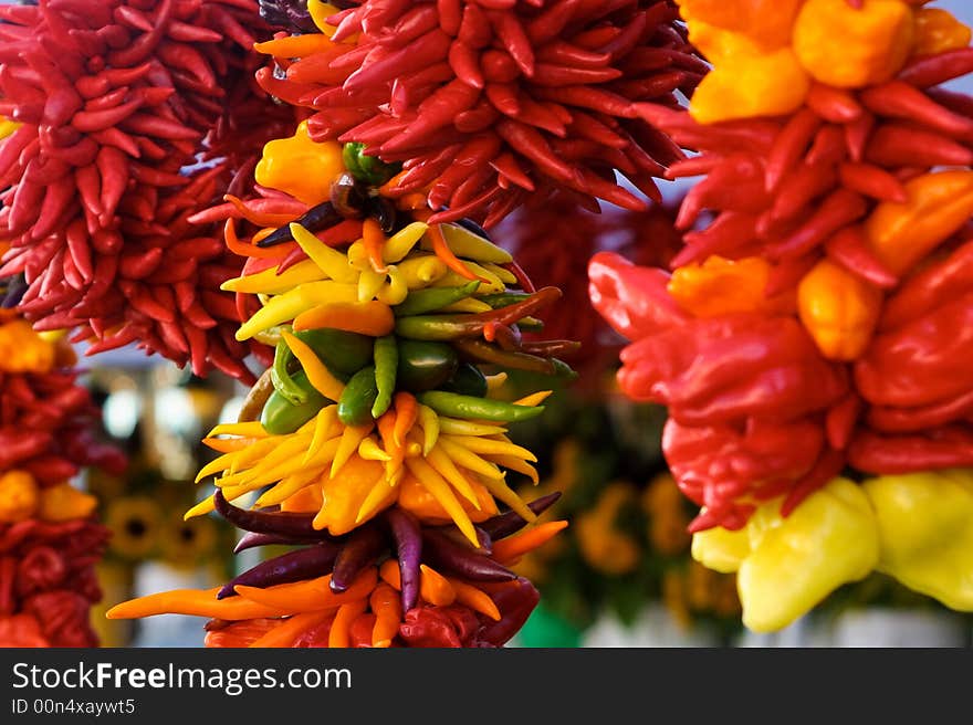 Colorful Peppers on Display