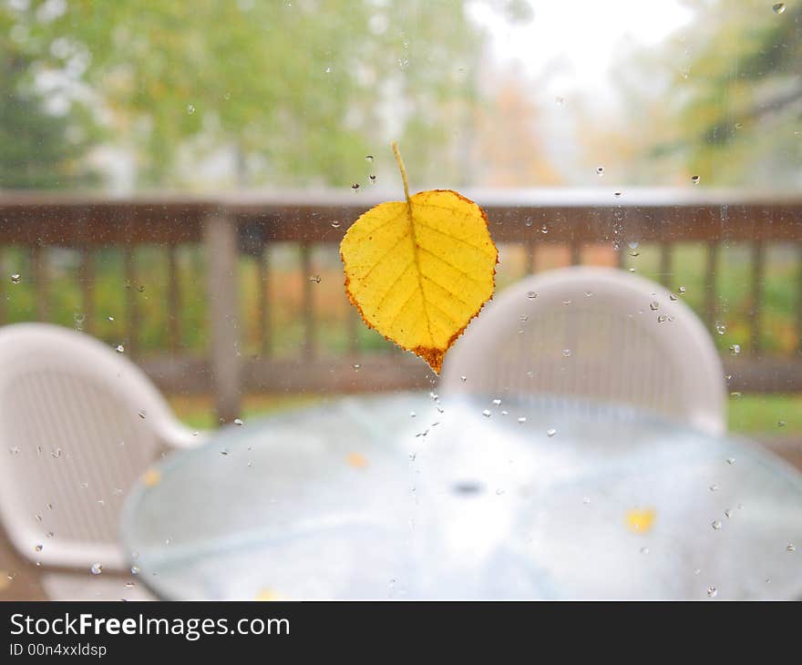 Good bye summer! Leaf on the window and white summer furniture on the deck