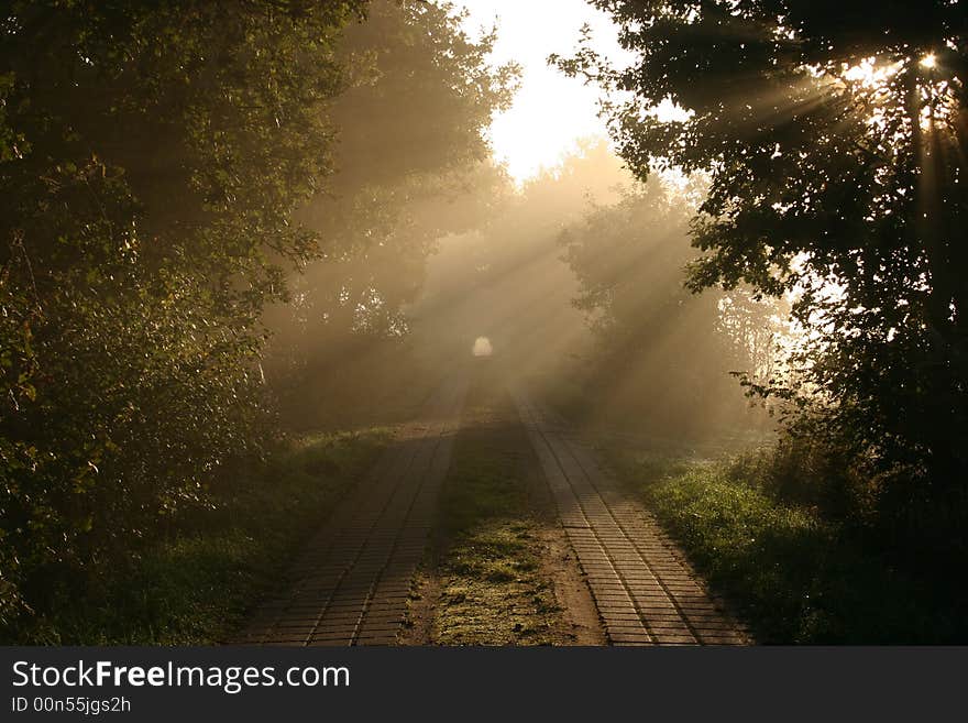 A view through a field road on a sunny, misty morning. A view through a field road on a sunny, misty morning.