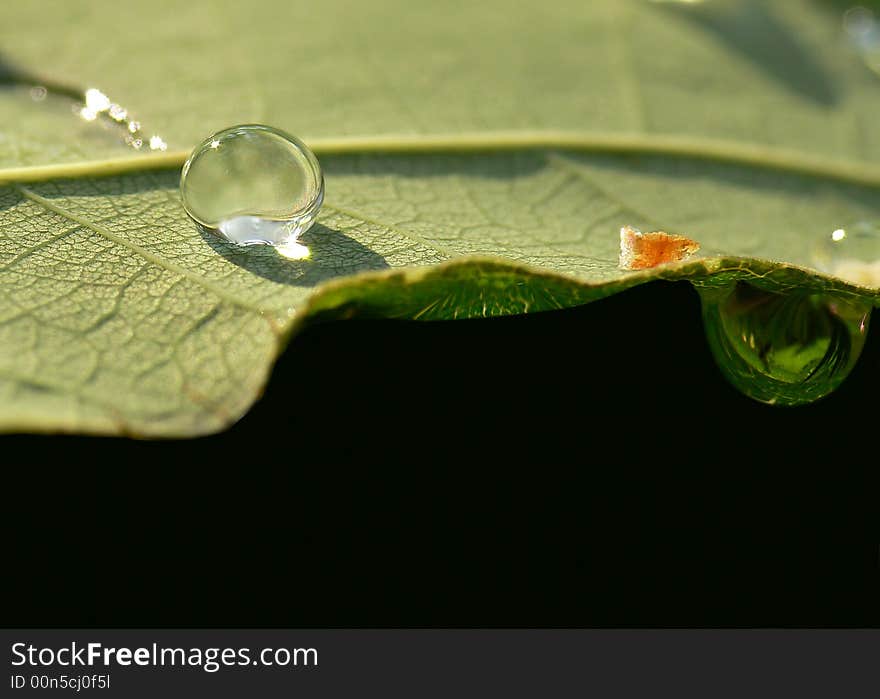 Two water drops