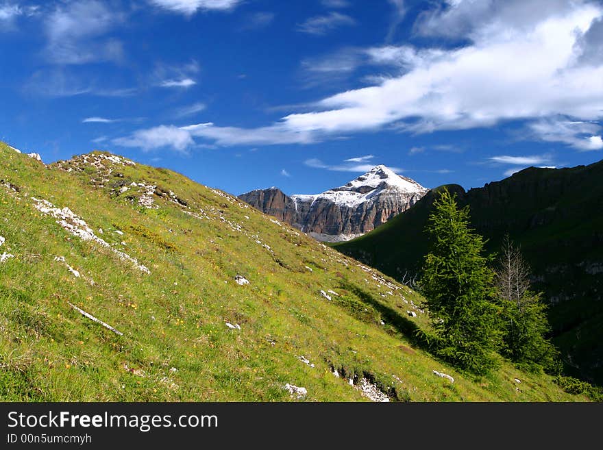 Mountain meadow and Piz Boe mt