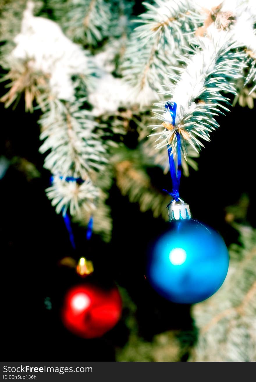 Colors balls  on the christmas tree. Colors balls  on the christmas tree