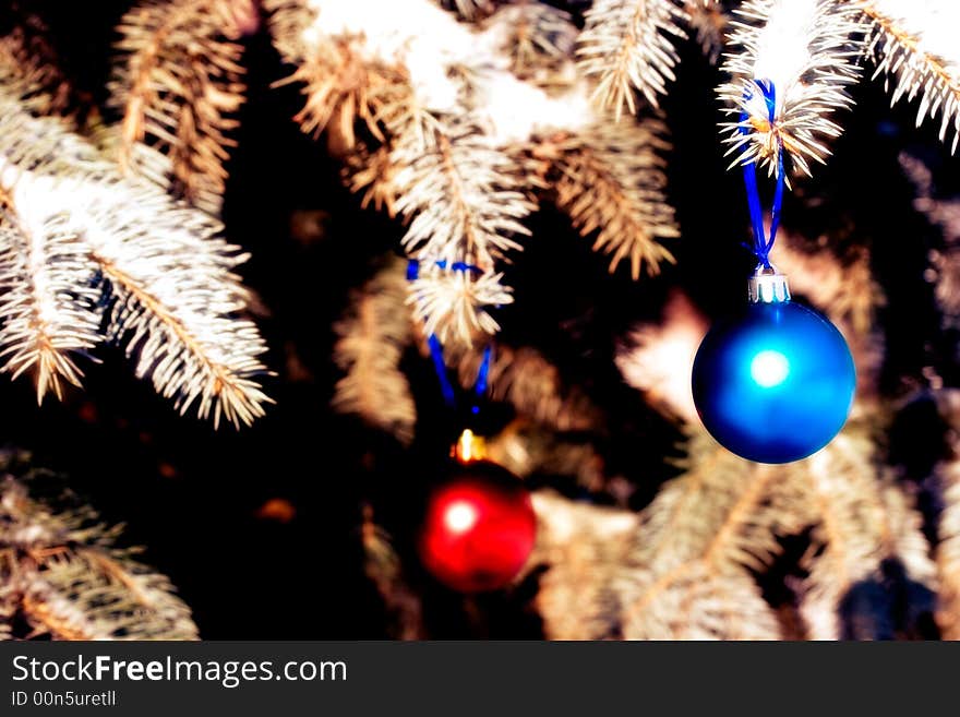 Colors balls  on the christmas tree. Colors balls  on the christmas tree