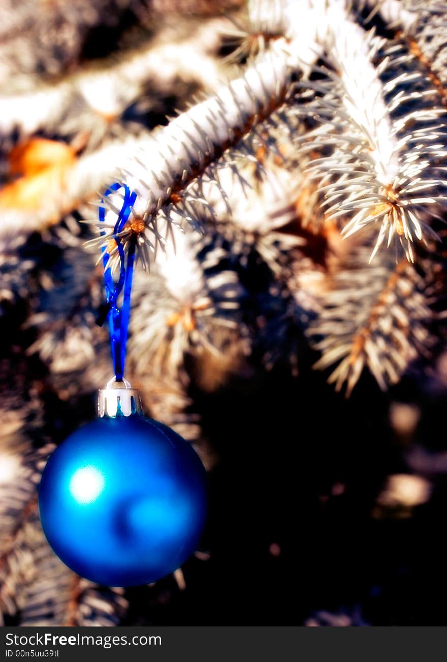 Colors balls  on the christmas tree. Colors balls  on the christmas tree