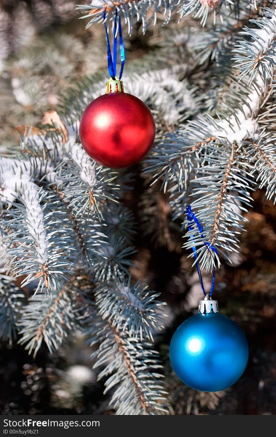 Colors balls on the christmas tree. Colors balls on the christmas tree