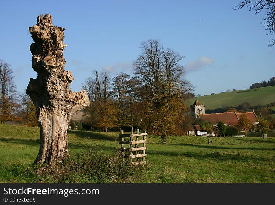 Dead tree foregrounds a rural autumn landscape