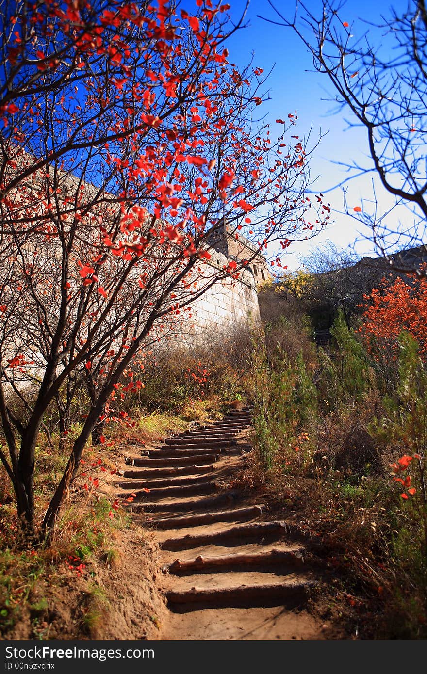 The relic of the Great Wall, the scaled path leading to it, the red autumn trees, construct a beautiful seasonal senery. The relic of the Great Wall, the scaled path leading to it, the red autumn trees, construct a beautiful seasonal senery.