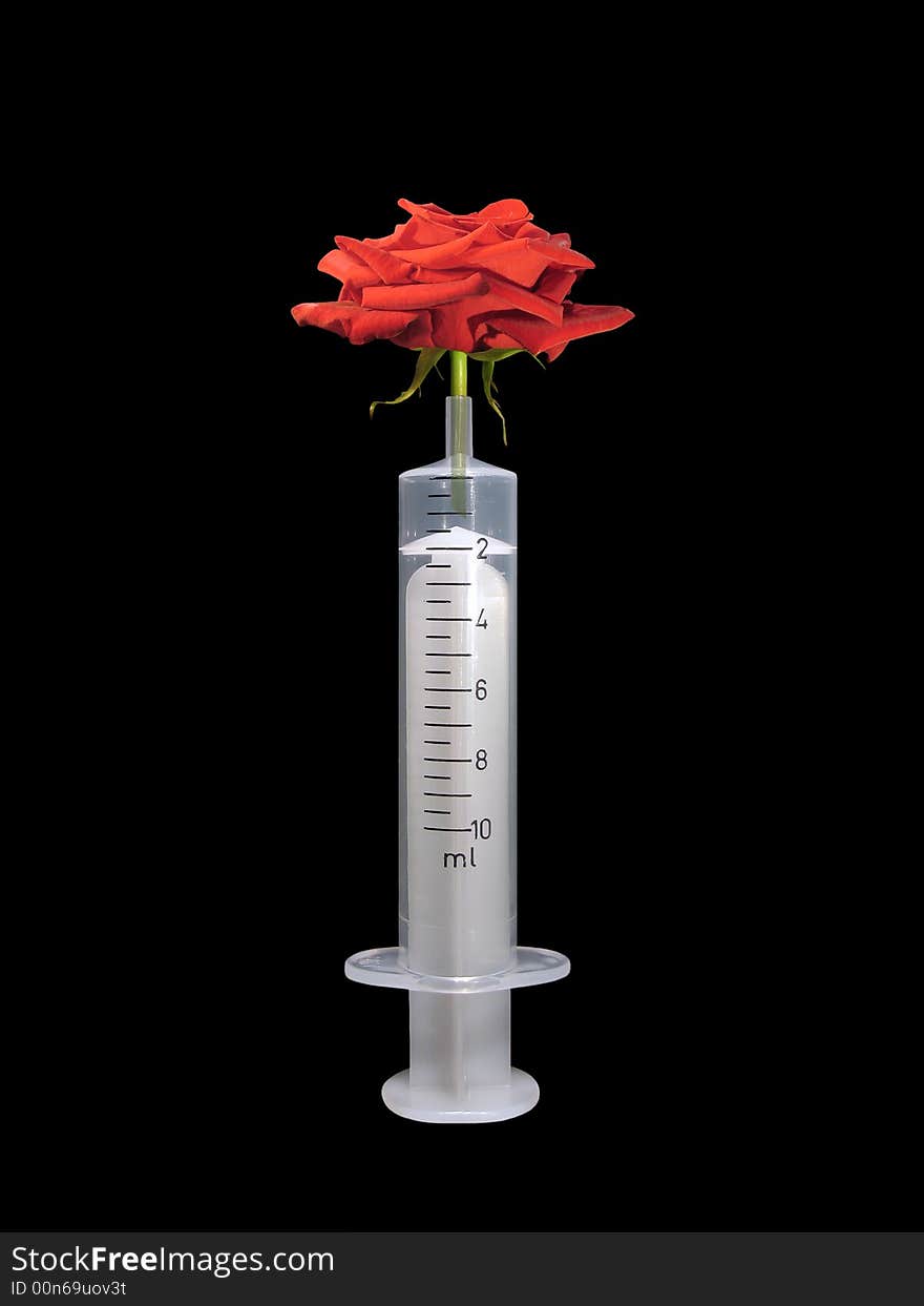 Syringe With Rose