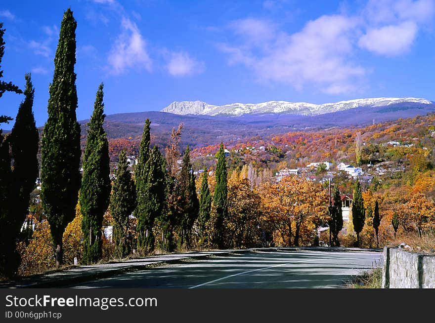 Tree on a background of mountains