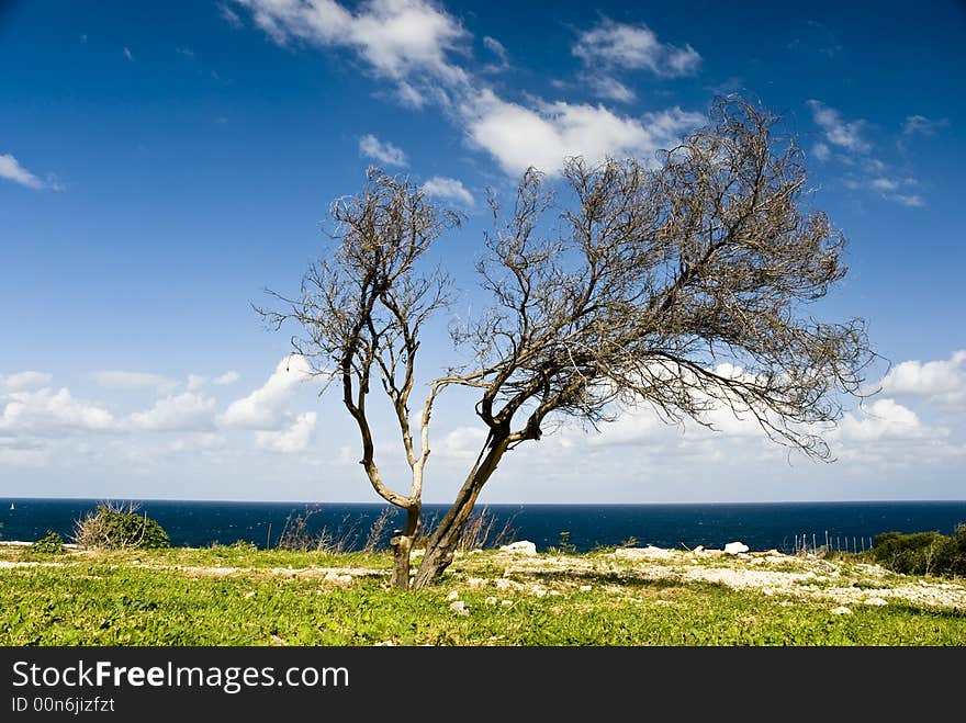 Tropical wind on the sea with clouds