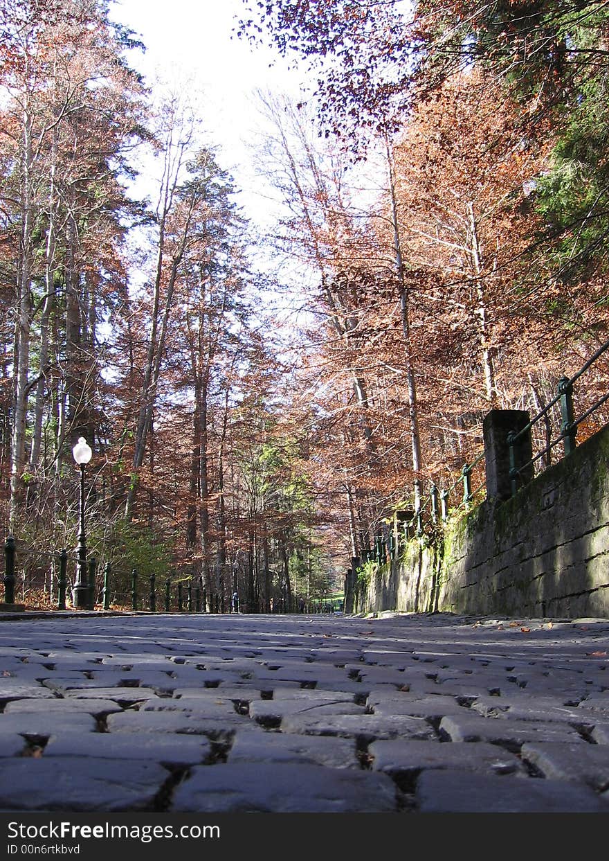 Stoned road in the forest