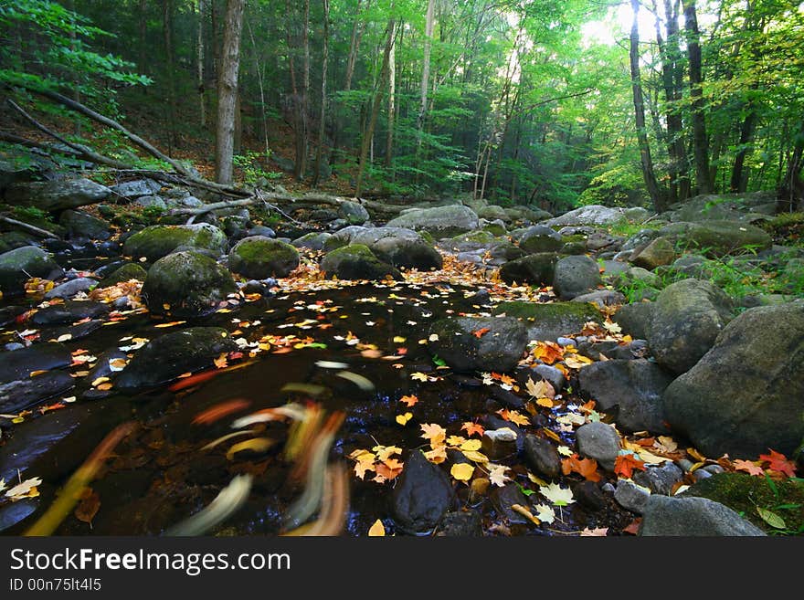 Harriman State Park