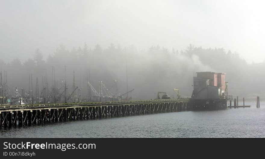 A foggy morning at Coos Bay