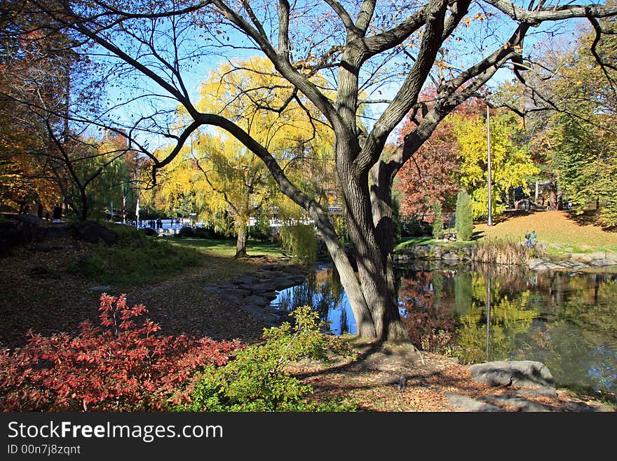 Central Park near Wollman Rink in the fall. Central Park near Wollman Rink in the fall.