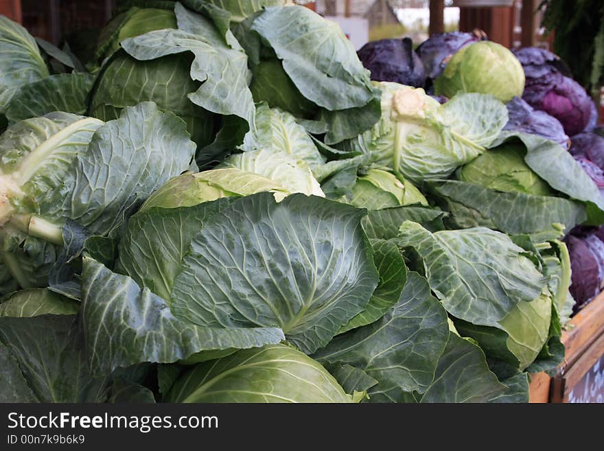 Cabbage