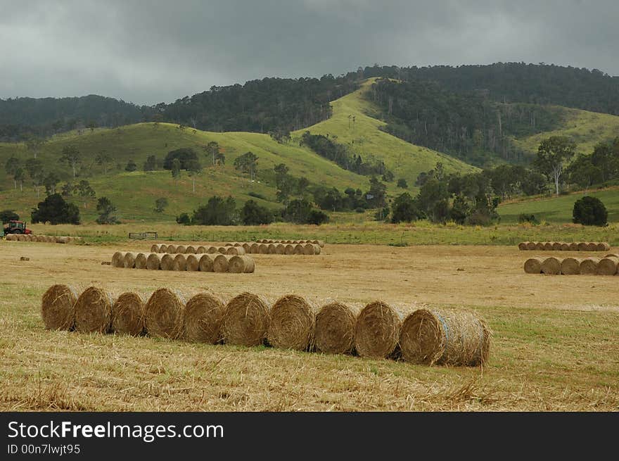 Hay rolls in QLD Australia