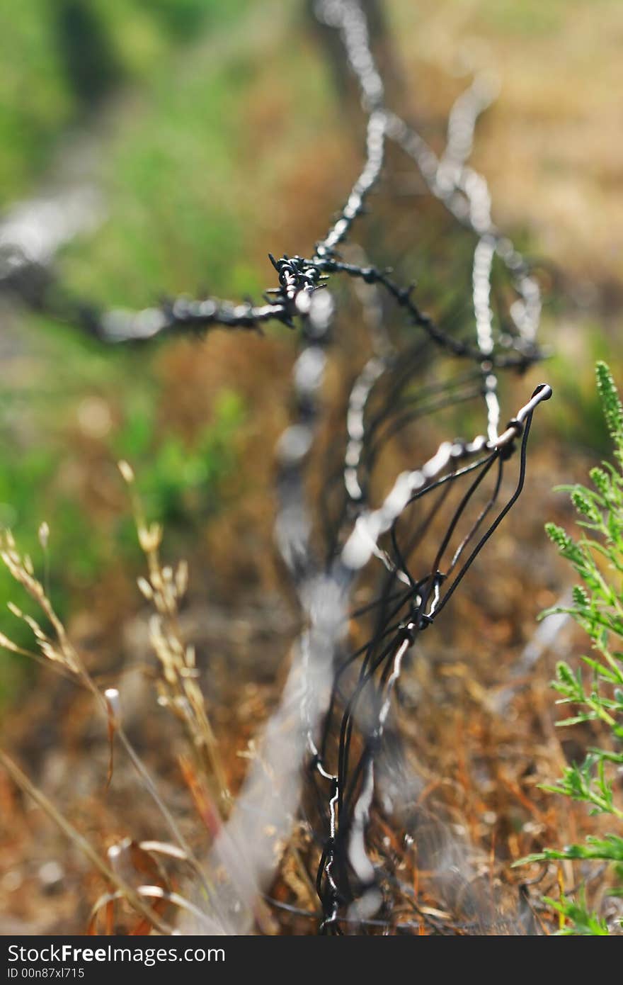 Close-up view of barbed wire in field